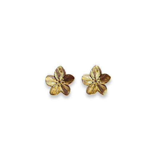 Boucles d'oreilles Néva